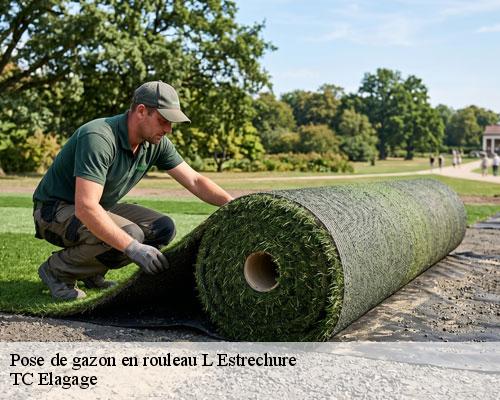 Pose de gazon en rouleau l-estrechure-30124 TC Elagage