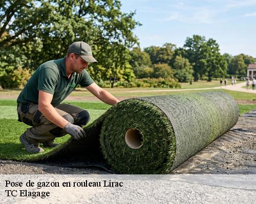 Pose de gazon en rouleau lirac-30126 TC Elagage