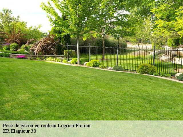 Pose de gazon en rouleau logrian-florian-30610 ZR Elagueur 30