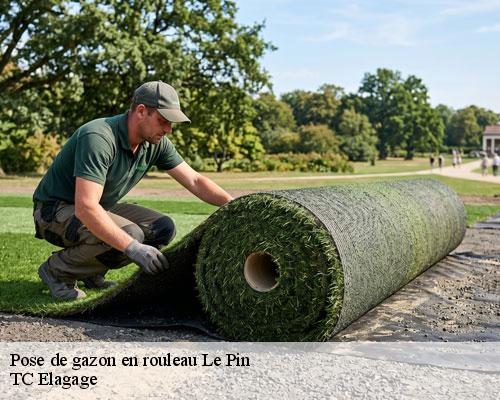 Pose de gazon en rouleau le-pin-30330 TC Elagage