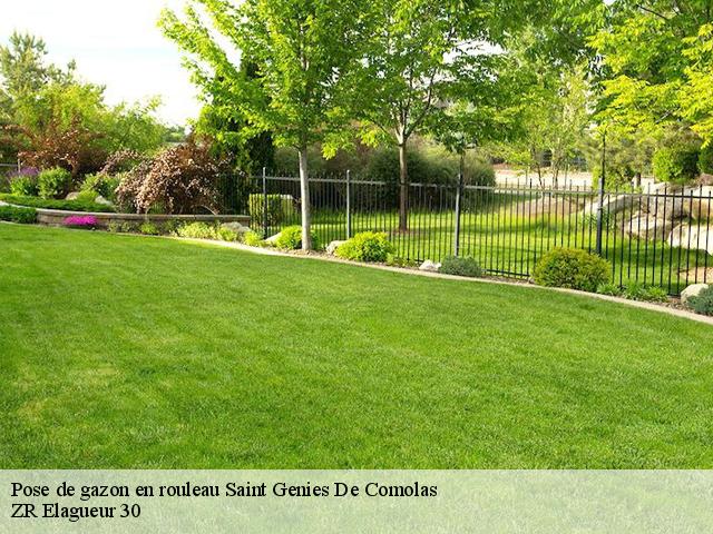 Pose de gazon en rouleau  saint-genies-de-comolas-30150 ZR Elagueur 30