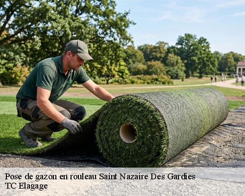 Pose de gazon en rouleau saint-nazaire-des-gardies-30610 TC Elagage