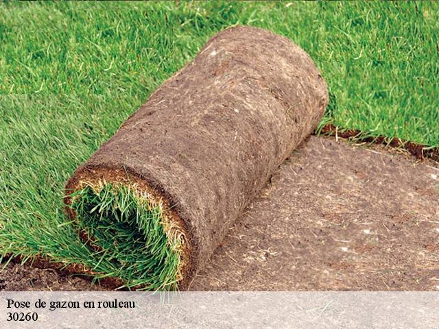 Pose de gazon en rouleau 30260