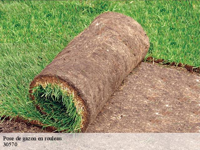 Pose de gazon en rouleau 30570